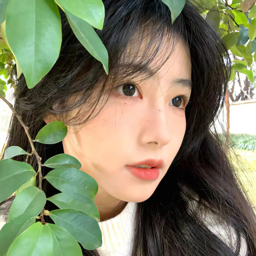 宽恕与原谅
